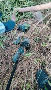 ایس ایچ او سٹی نوید الحسن نے کہا کہ اپیل برائے معلومات و آگاہی